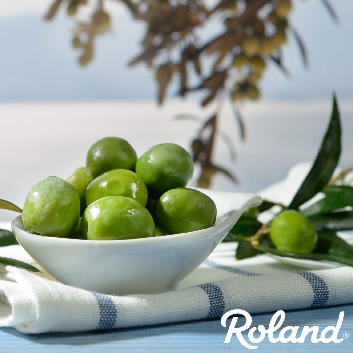 Roland Foods Whole Sicilian 3 Pound (Pack of 1), Light to Medium Green