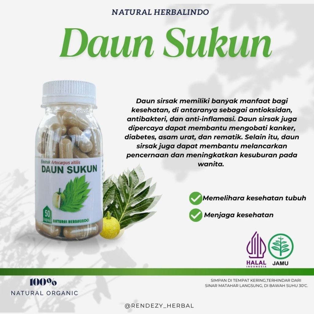 Breadfruit Leaf (Daun Sukun) Capsules 50pcs Indonesia Natural