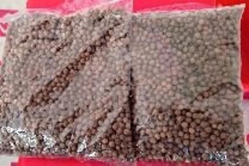 White Sandalwood Seeds White Chandan Seeds Indian sandalwood,Fragrant sandalwood