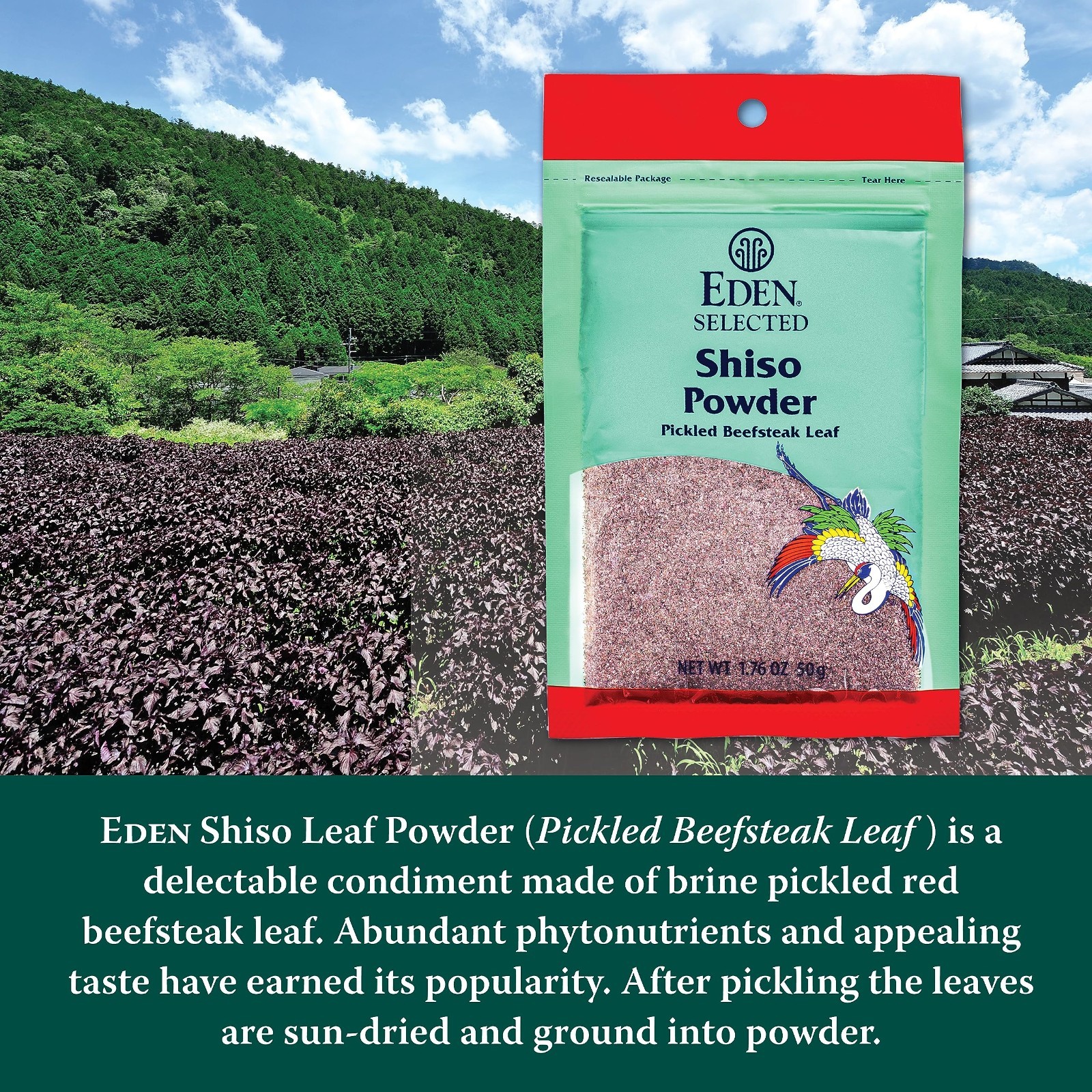 Shiso Leaf Powder – Japanese Pickled Beefsteak Leaf, 1.76 oz (Pack of 2)