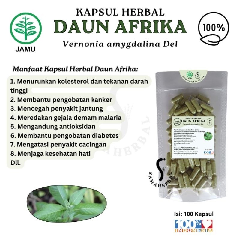 Herbal Capsule African Leaf 100 Caps Natural Botanical Wellness Blend