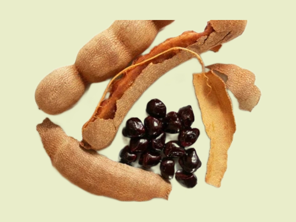 Ceylon organic fresh Tamarind with seeds Natural healthy premium quality 50g