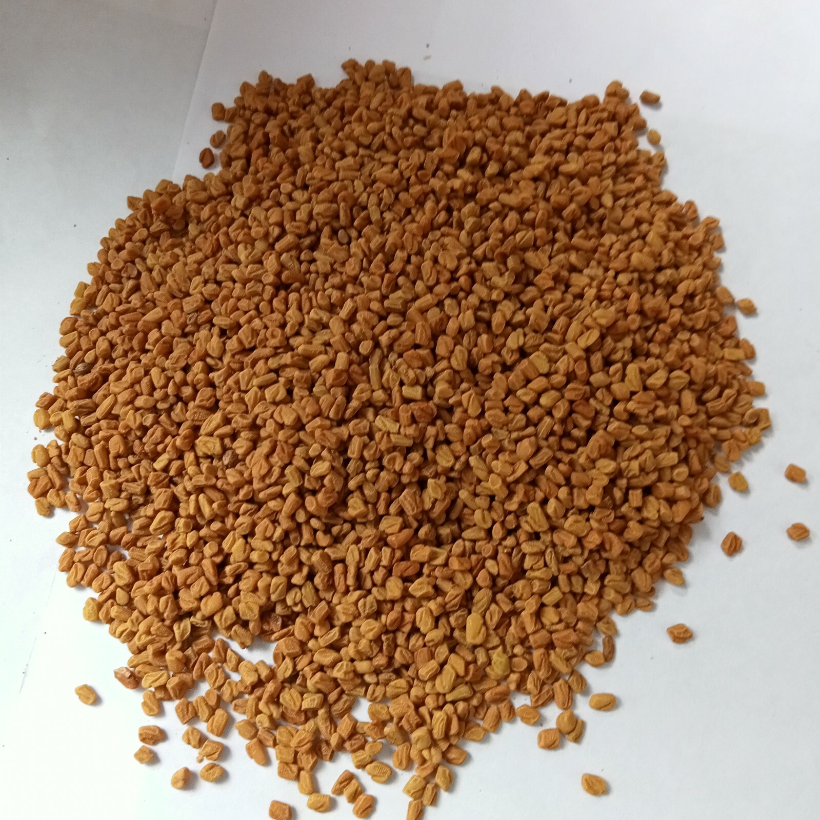 Premium Ceylon Organic Fenugreek Whole Seeds Spice Homemade New 50g