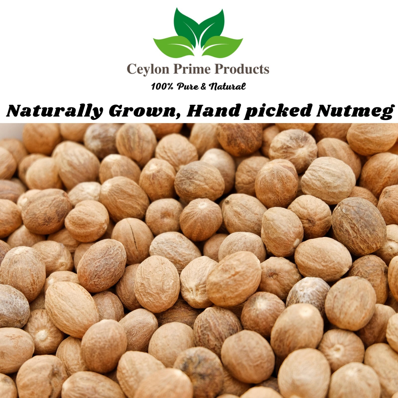 Nutmeg Whole by Ceylon Prime Products | 100% Pure & Natural Premium Nutmeg