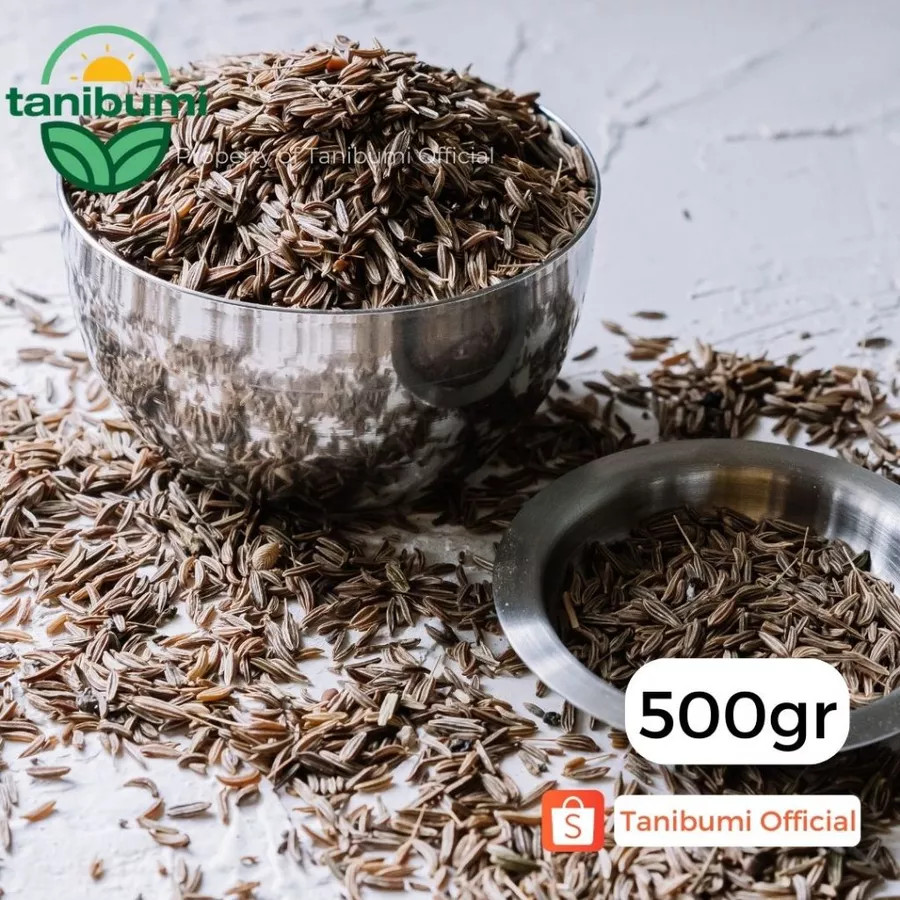 Caraway Seed 500g Culinary Ingredient For Cooking Pantry Staple Global Flavors