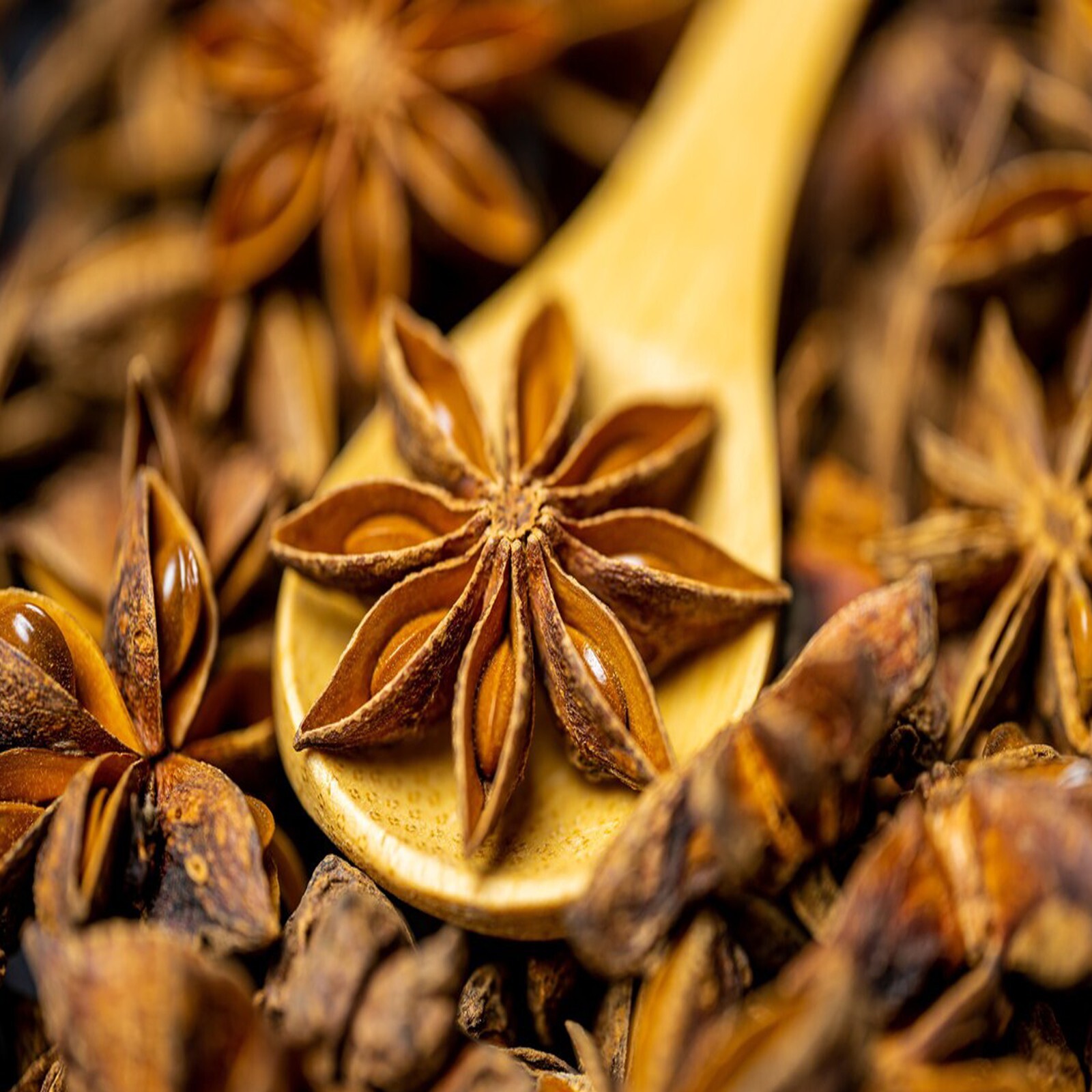 Star Anise (Chakra Phul) , Anise Seeds, Whole Chinese Star Anise 20g