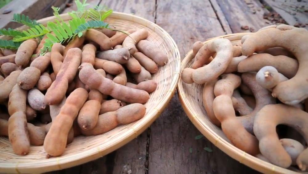 Seedless Tamarind Paste 14 Ounce Package (Imli | Me Chua | Tamarindo)