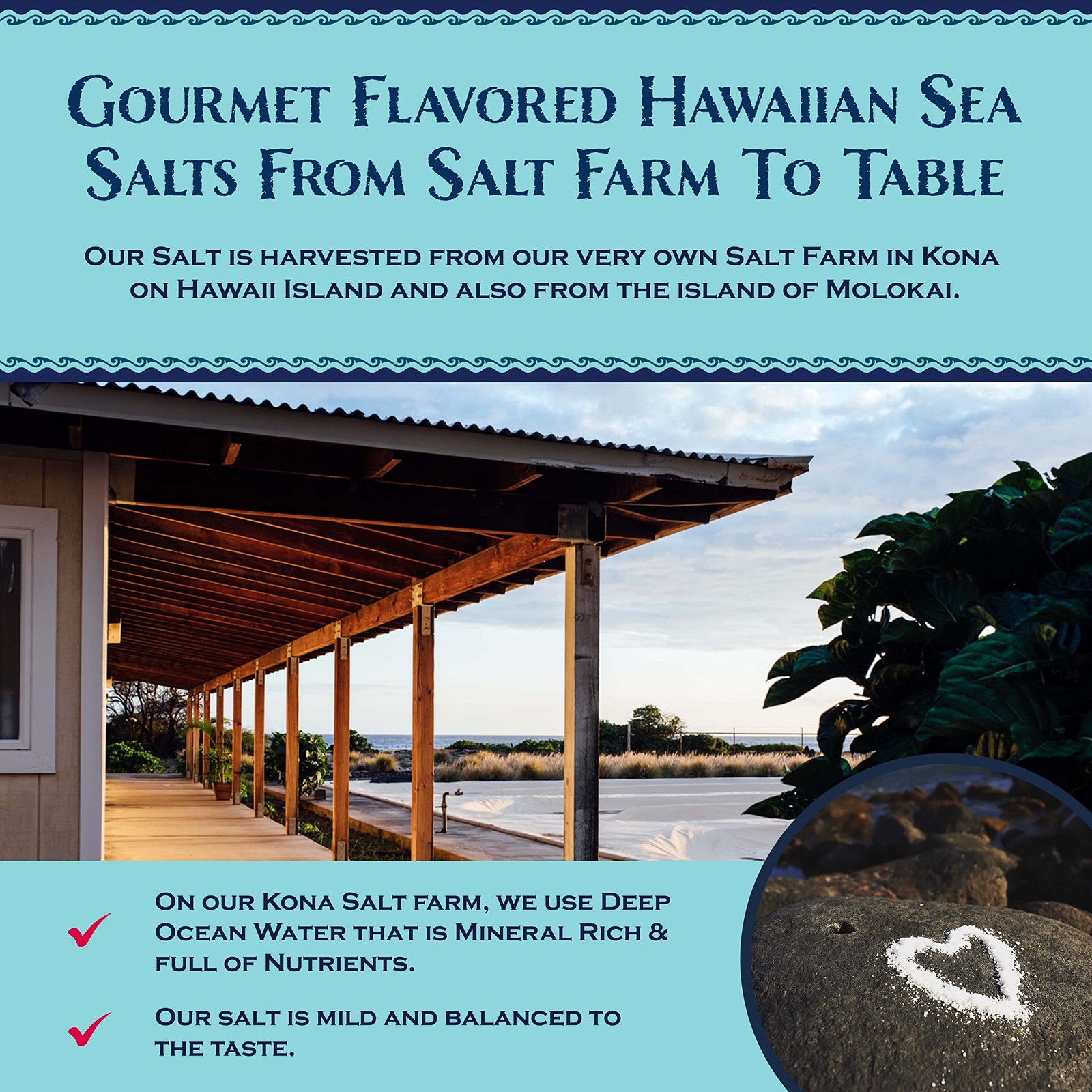 Sea Salts of Hawaii Variety 3 Pack, Lemon Rosemary Salt, Roasted Garlic Salt,…