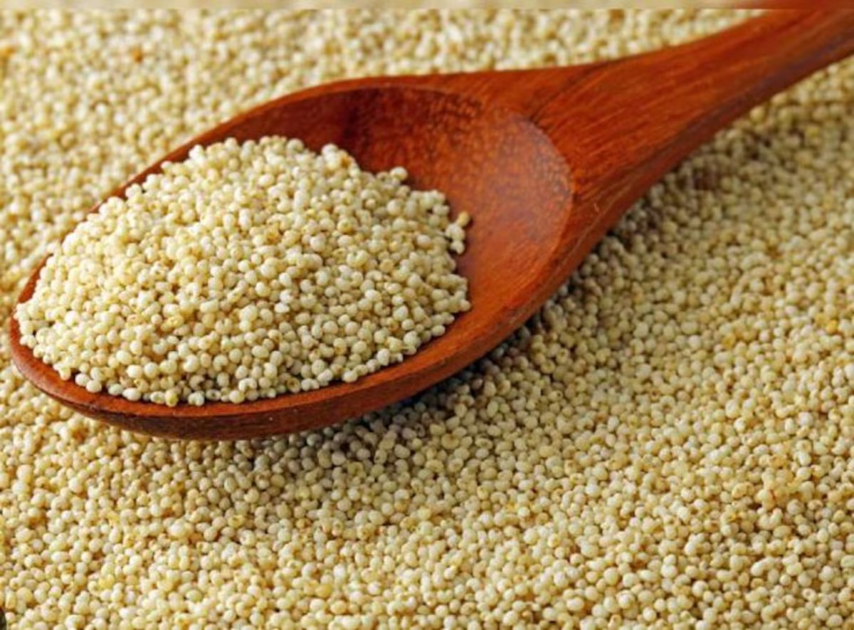 Indian Premium Spices White Poppy Seeds ( Posta dhana , khus khus ) FREE SHIP