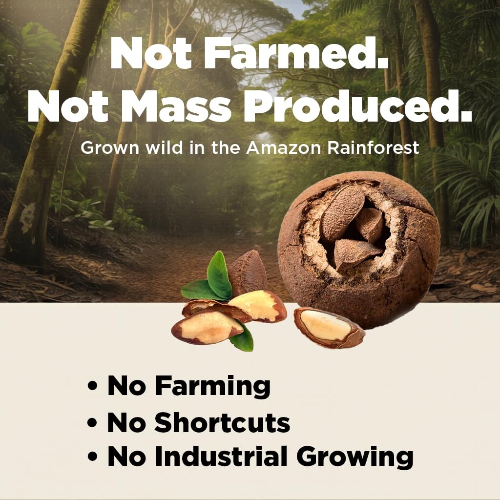 Premium Wild Harvested Raw Brazil Nuts 1 lb High Selenium