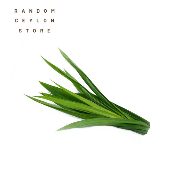 Ceylon Organic whole Pandan Leaves / Rampe Sun dried high Quality 50g ( 1.7 oz )