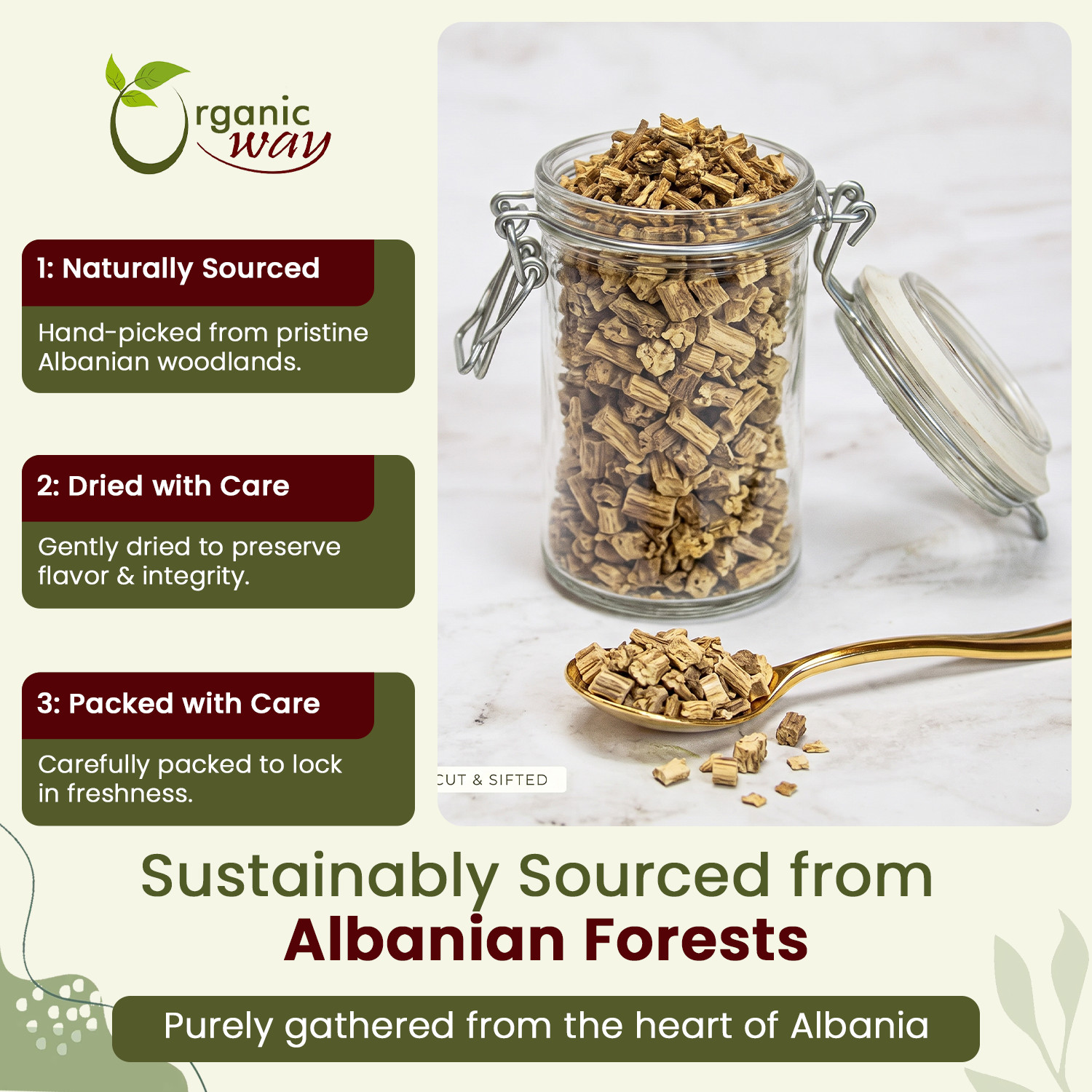 Organic Way Dried Angelica Root Cut & Sifted – Herbal Tea – Origin Albania