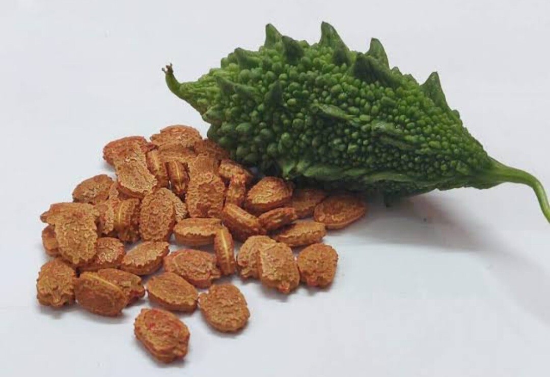 100% Pure Natural Bitter Gourd Seeds, karela Seeds, Bitter Melon seeds, Bitter G