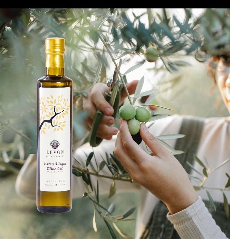 LEVON Extra Virgin Olive Oil 16.9 fl oz 500ml FILTERED COLD, PRESSED FAMILY GROV