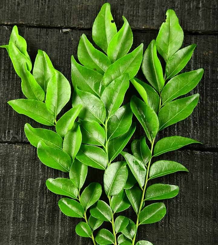 Curry Leaves 100% Organic Fresh Dried Premium Quality Herbs Sri Lankan Spice
