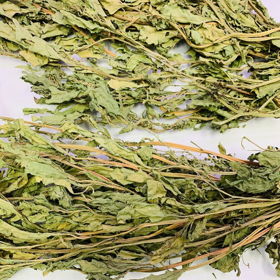 Organic Dried Epazote Leaves Hojas de Epazote Mexican Epazote Leaves FREE SHIP