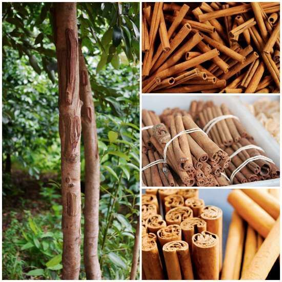 Premium Quality Pure Ceylon Organic Natural Spicy Cinnamon Sticks 100g Free 2022