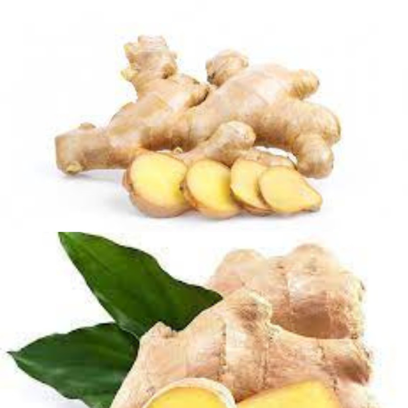 Dried Ginger Root Slices Organic 100% Pure Natural Premium Quality Ceylon New