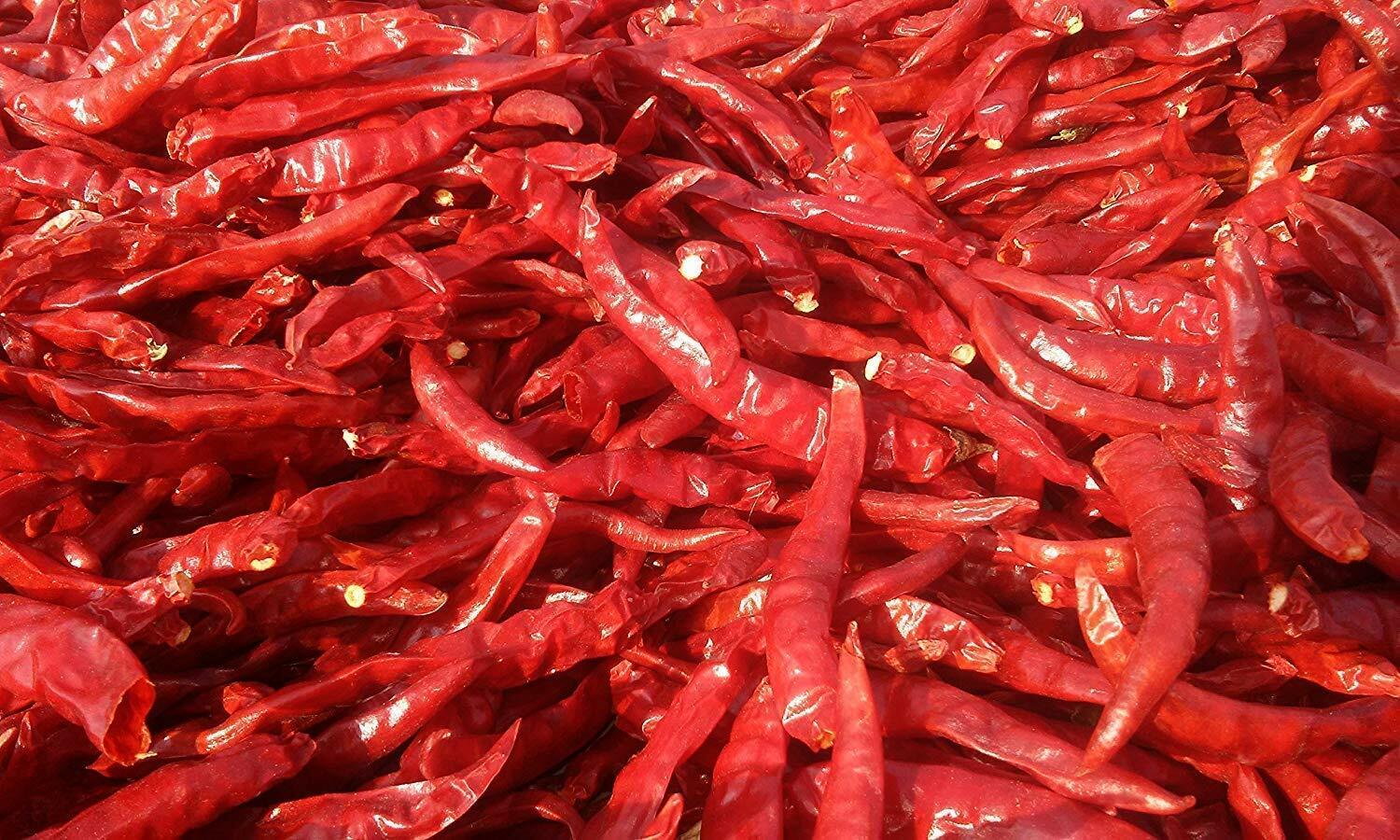 Orginal Famous Jodhpuri Mathania Red Chilli Whole, Lal Mirch Sabut/ FREE SHIP