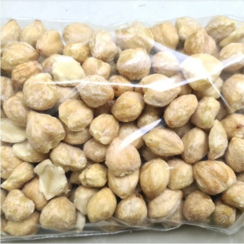 Candlenut 500g Culinary Ingredient For Cooking Pantry Staple