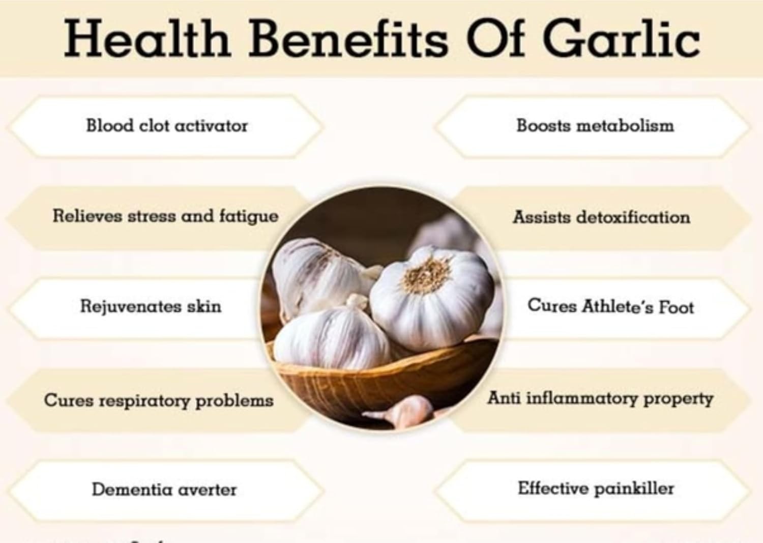 Shine Organic Dehydrated Garlic Powder 55gm