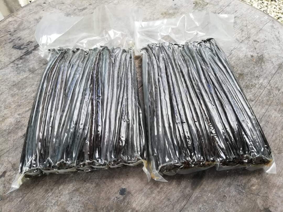 10 Premium Grade A+ 100% Organic Ceylon Bourbon Gourmet Vanilla Beans 9+ Inches