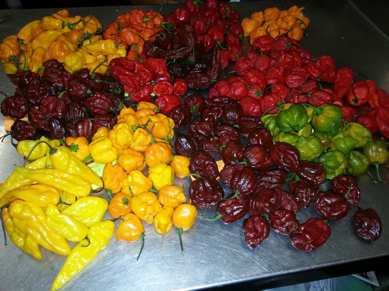 Phoenix Sauce/marinade and Peppers-Carolina Reaper/ Habanero/ Serrano or others