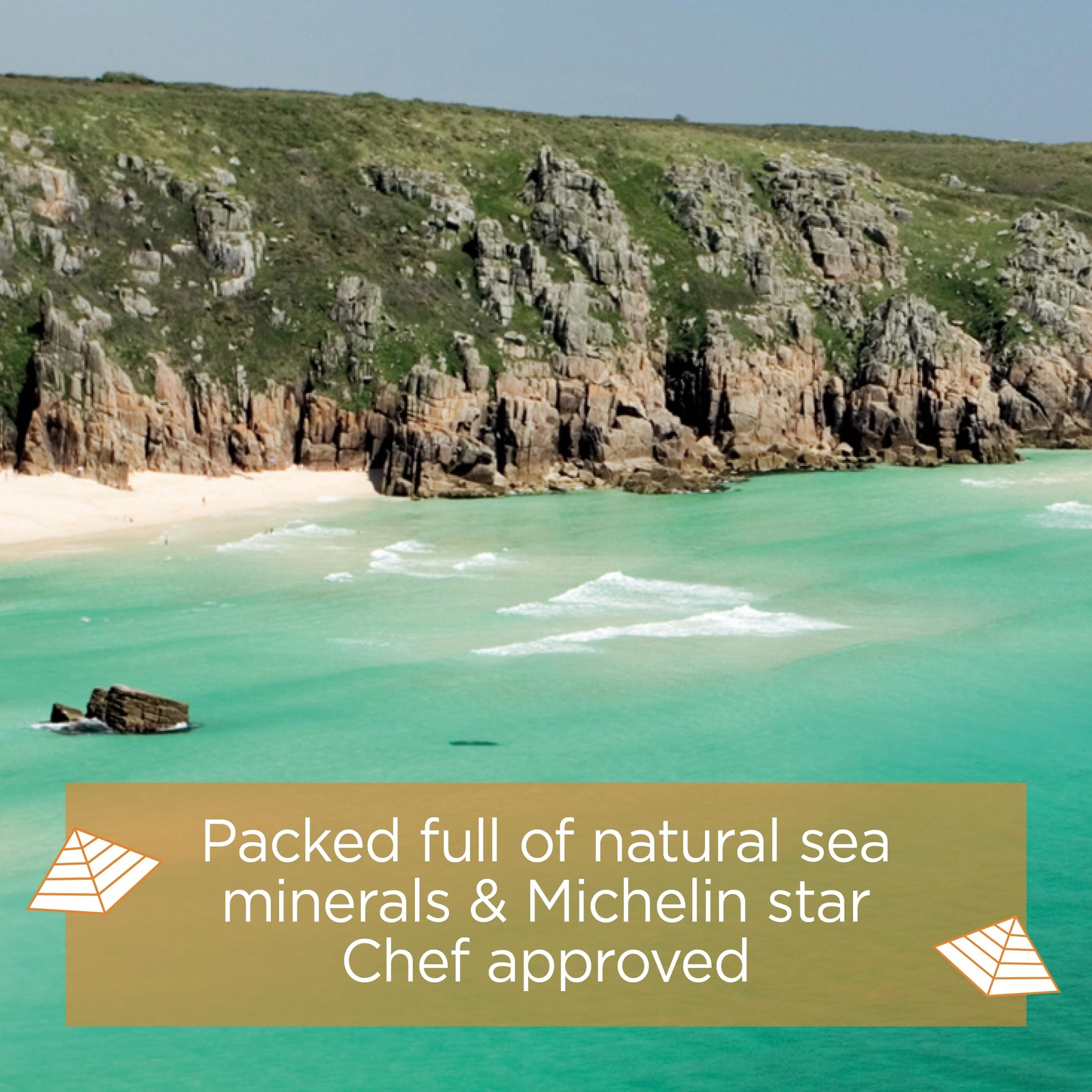 Really Garlicky Sea Salt Flakes Pack Of 2 1.9 Ounce Culinary Seasoning