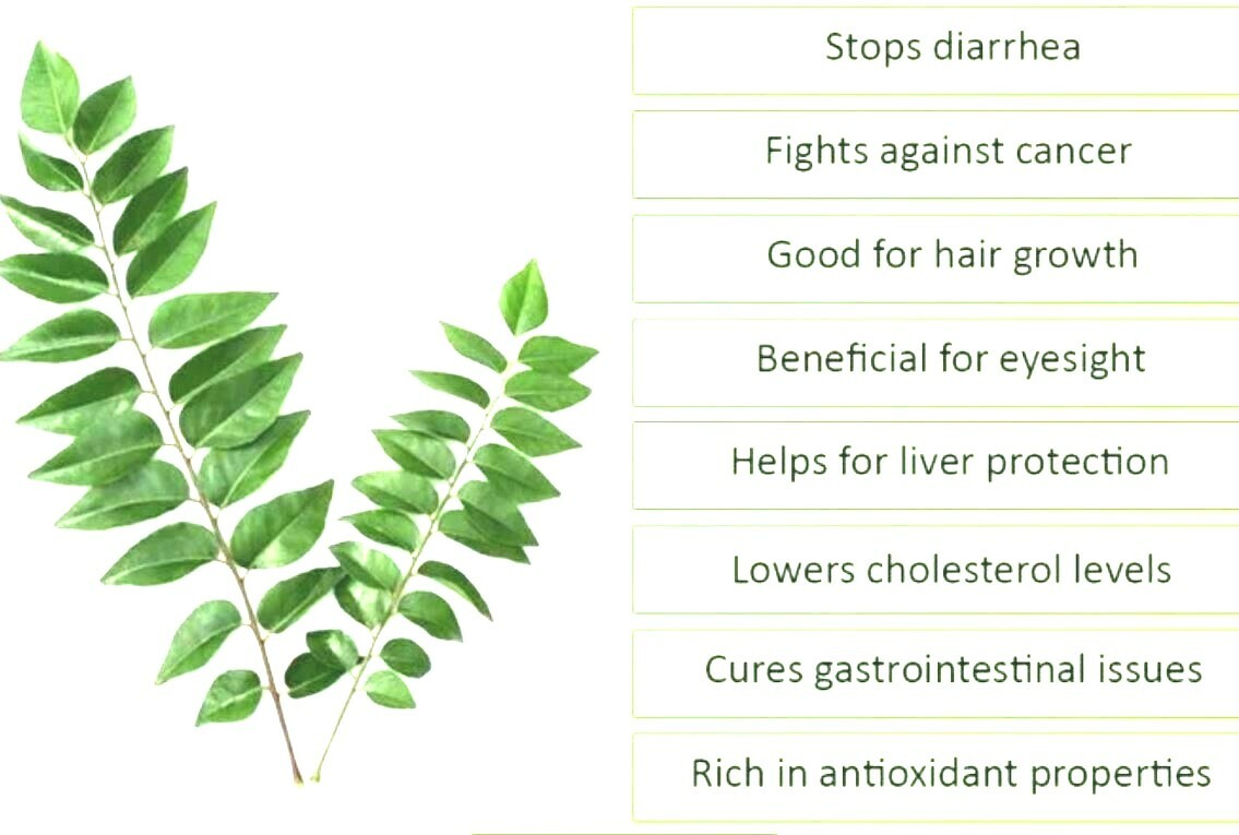 Ceylon Fresh Dried Curry Leaves Powder 100% Organic Natural Leaves Powder Good