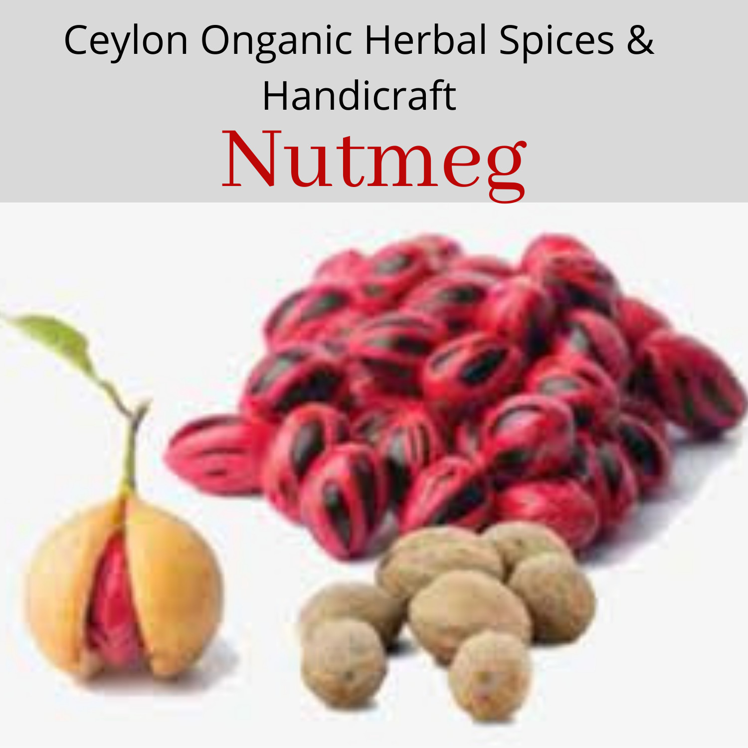 Ceylon 100% pure high quality organic Dried Nutmeg