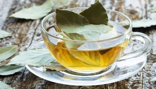 May Aid Weight Loss20, Fresh Organic Bay Leaves Leaf, Fresh