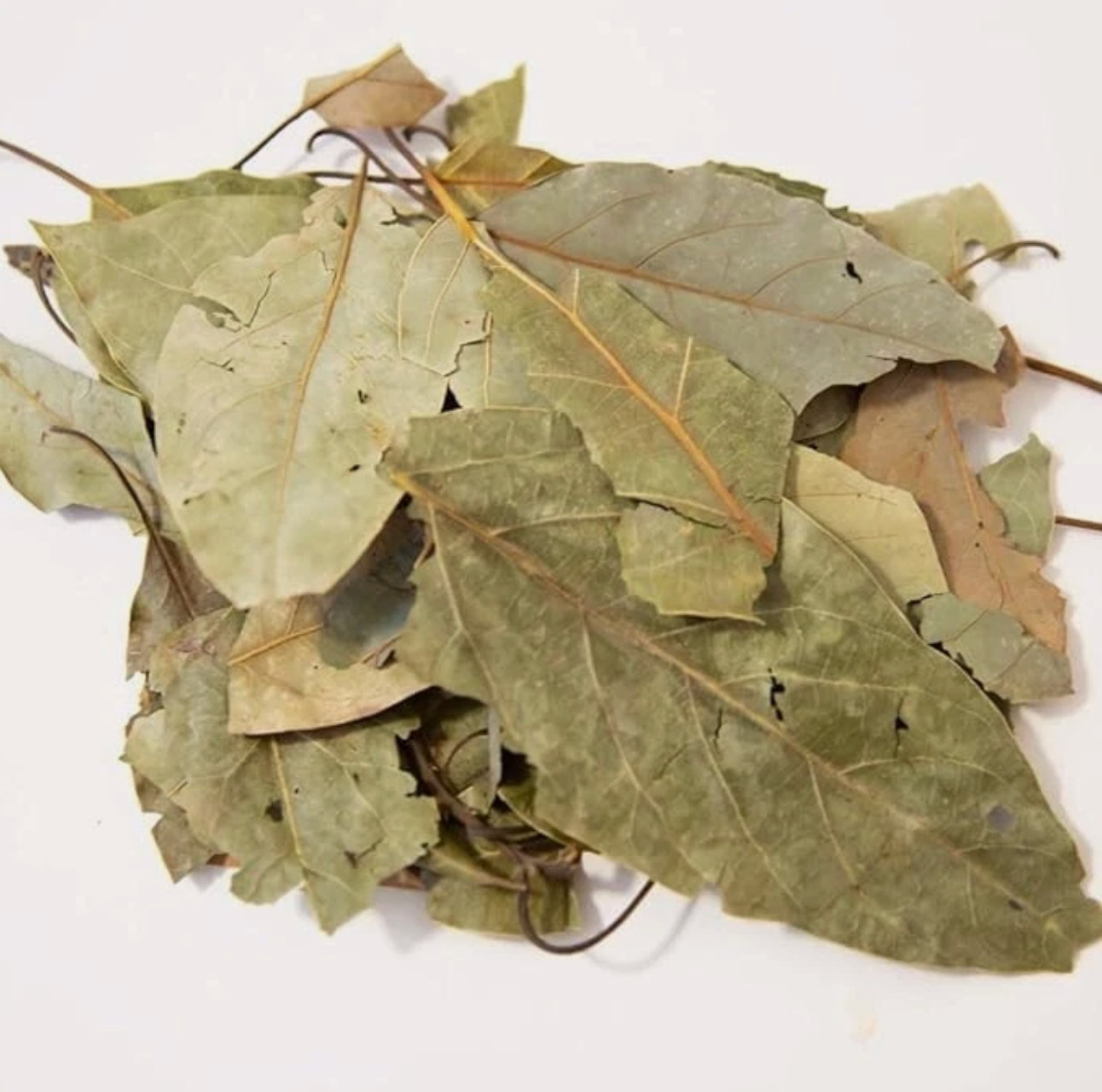 5oz Dried Avocado Leaf – Hojas de Aguacate – Avocado Leaves (Mexican)