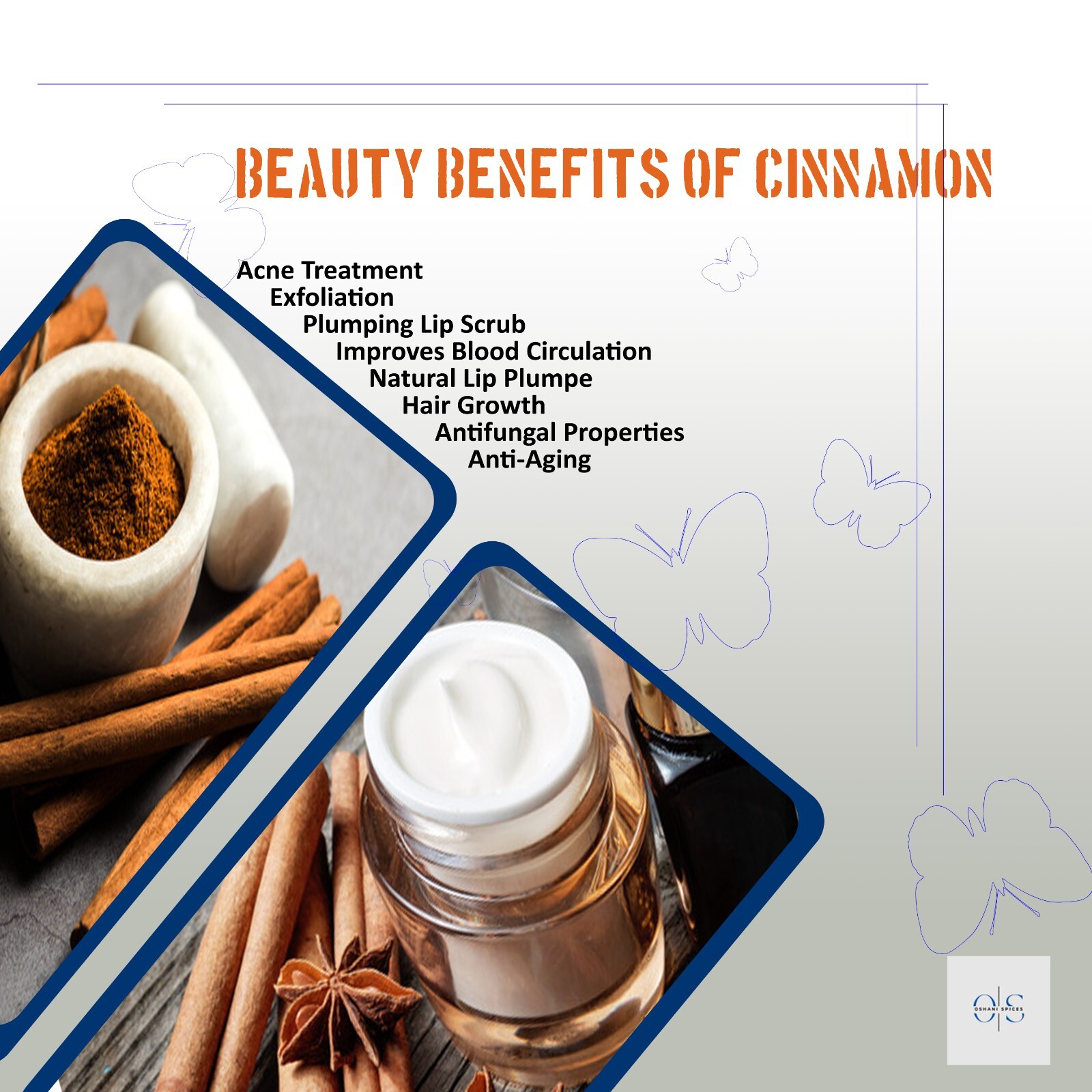 Golden Spice of Zeylan: Pure Organic ALBA Cinnamon from Sri Lanka-FREE SHIPPING