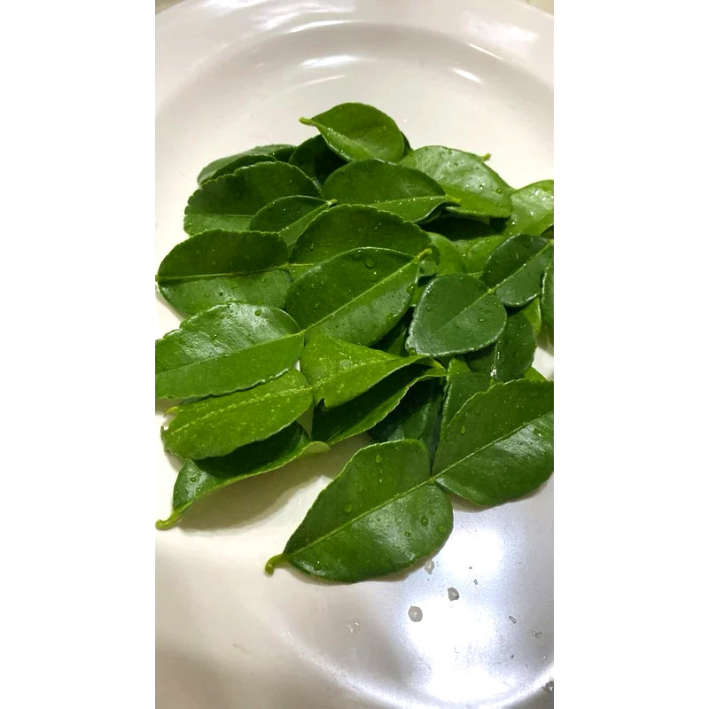 Dried Kaffir Lime Leaves Daun Limau Purut For Thai Cuisine Tomyam & Salad