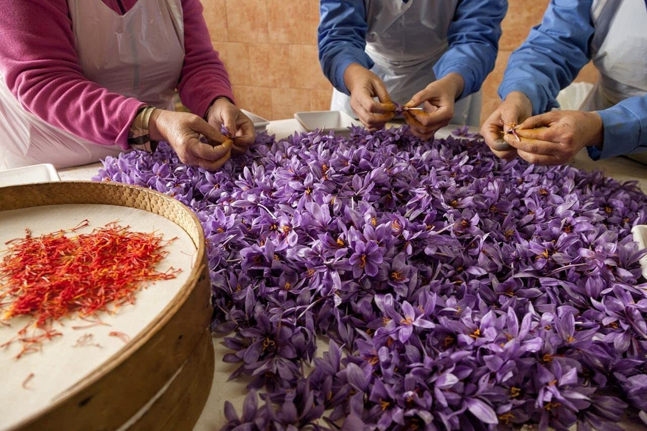 Saffron Stigma Threads High Quality 1g The Best Product for Gift