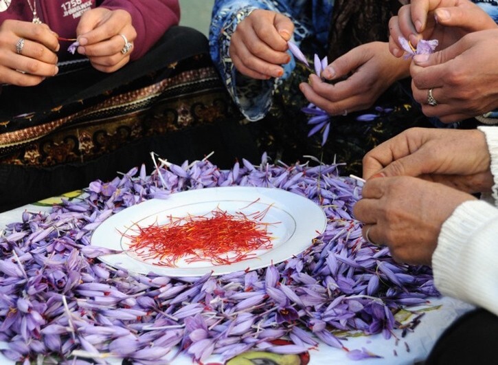 Premium Wholesale Saffron – Grade A+ Pure & Organic – Bulk Pricing Available