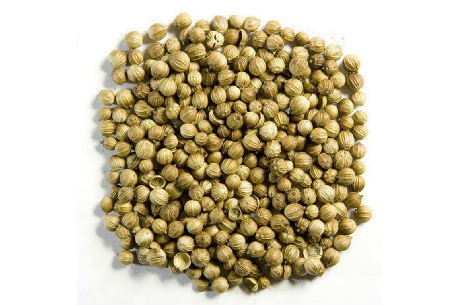 Dried Spices Whole Coriander Seed Natural Premium Fresh Pure – كزبرة حَب