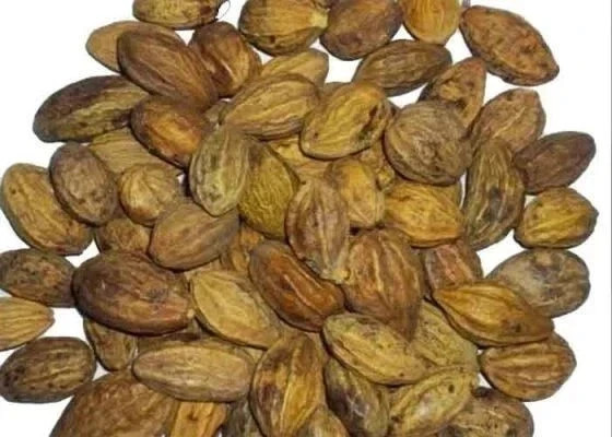Organic Haritaki (Terminalia Chebula) Raw | Haritaki Whole Dried Fruit