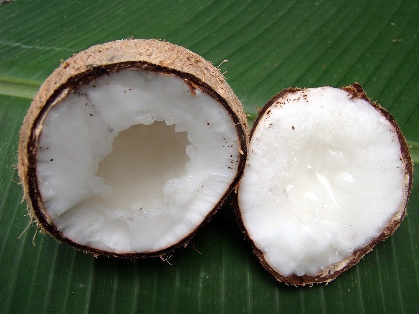 1 pcs Makapuno Coconut milk with thick flesh is thick and viscous like jelly