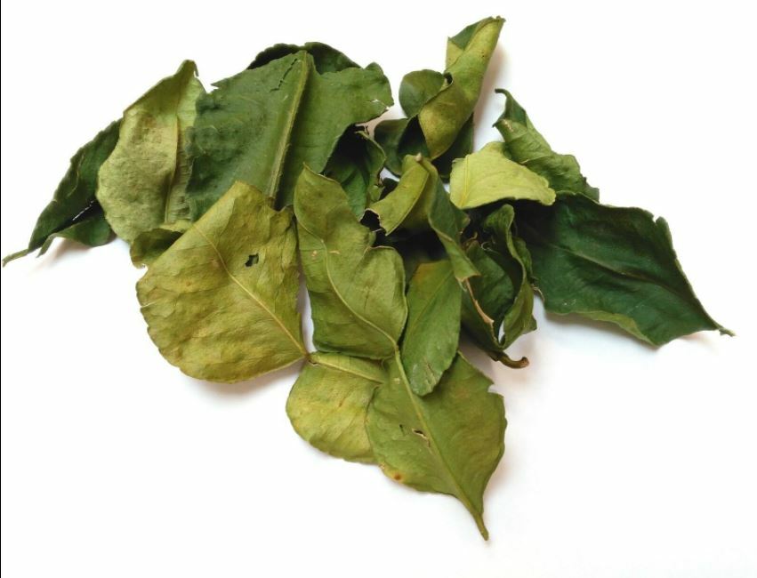 Organic Dried kaffir Lime Leaves Premium Herb a Grade Quality 100% natural produ