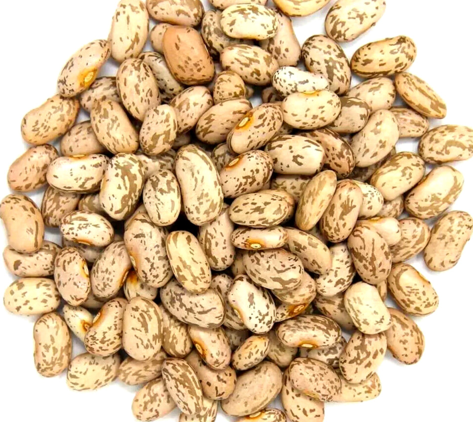 Pinto Beans Dry Frijoles Pintos Bulk 3 lb. bags. Non-GMO Pantry Storage Food