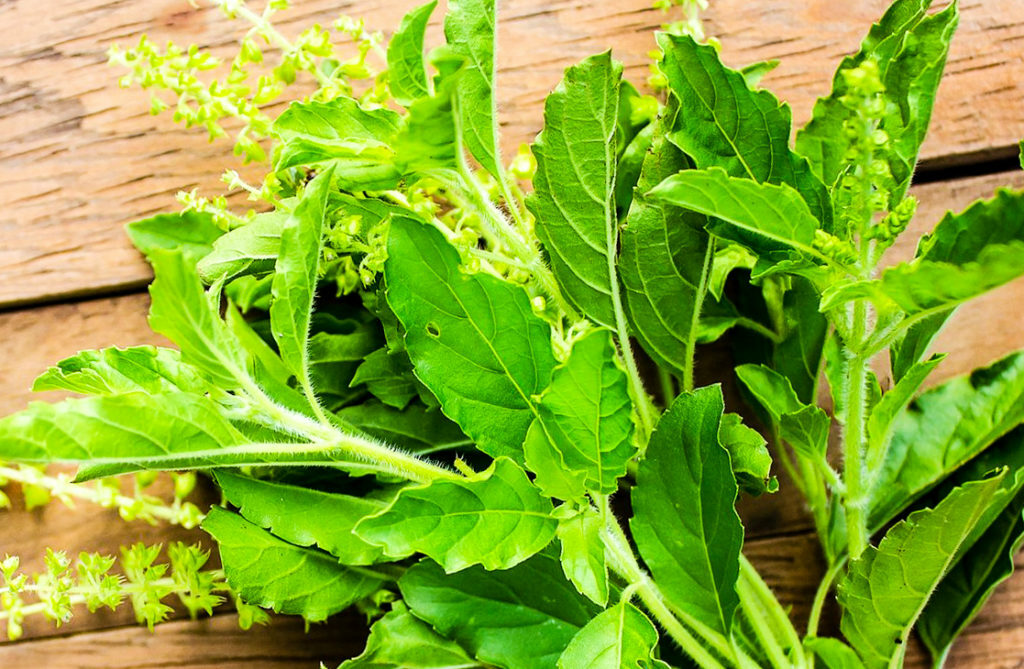 50g x6 Holy Basil Stir Fry Best Thai Authentic Spicy Herb Sauce ‘Pad Gra Praw’