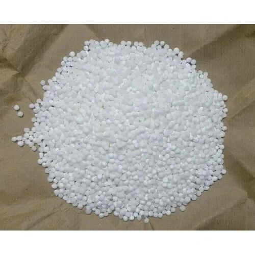 Sago 100g Natural Pure Organic Fresh 100% Cereal Sri Lankan Free Shipping Seeds