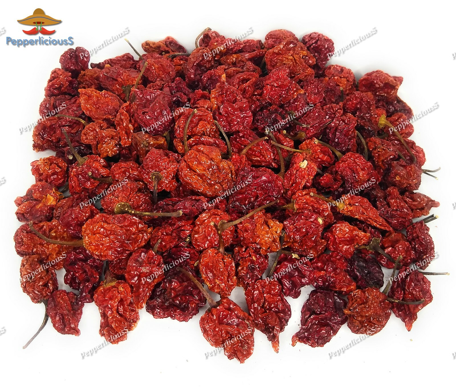 1LB / 454g – DRIED CAROLINA REAPER PEPPER PODS – WORLDS HOTTEST CHILI -Super Hot