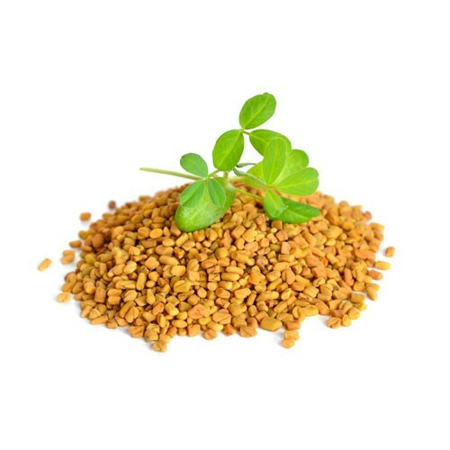 100 % Pure Organic Fenugreek Seed Premium (Trigonella foenum graecum) 50g