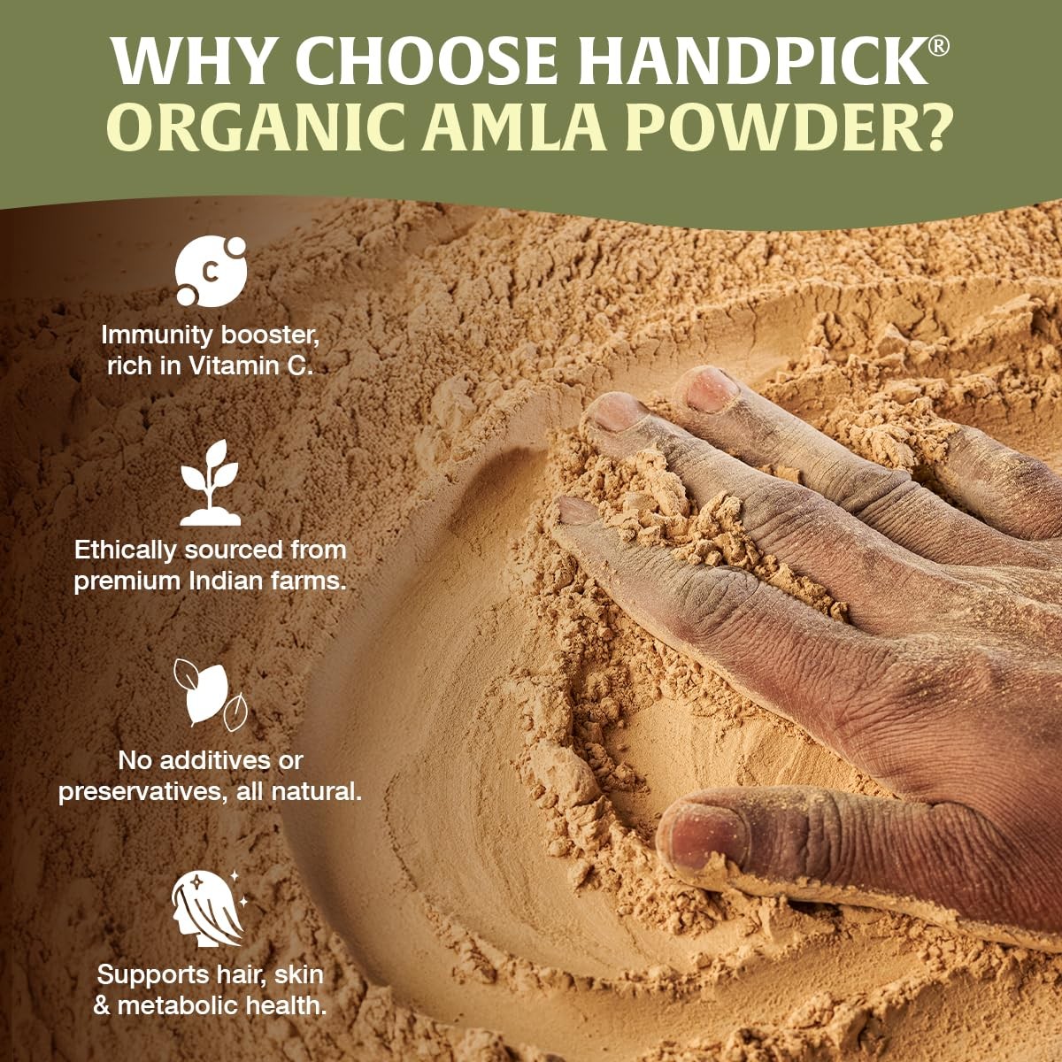 HANDPICK Organic Amla Powder (14oz) Amalaki, USDA 1 Pound (Pack of 1)