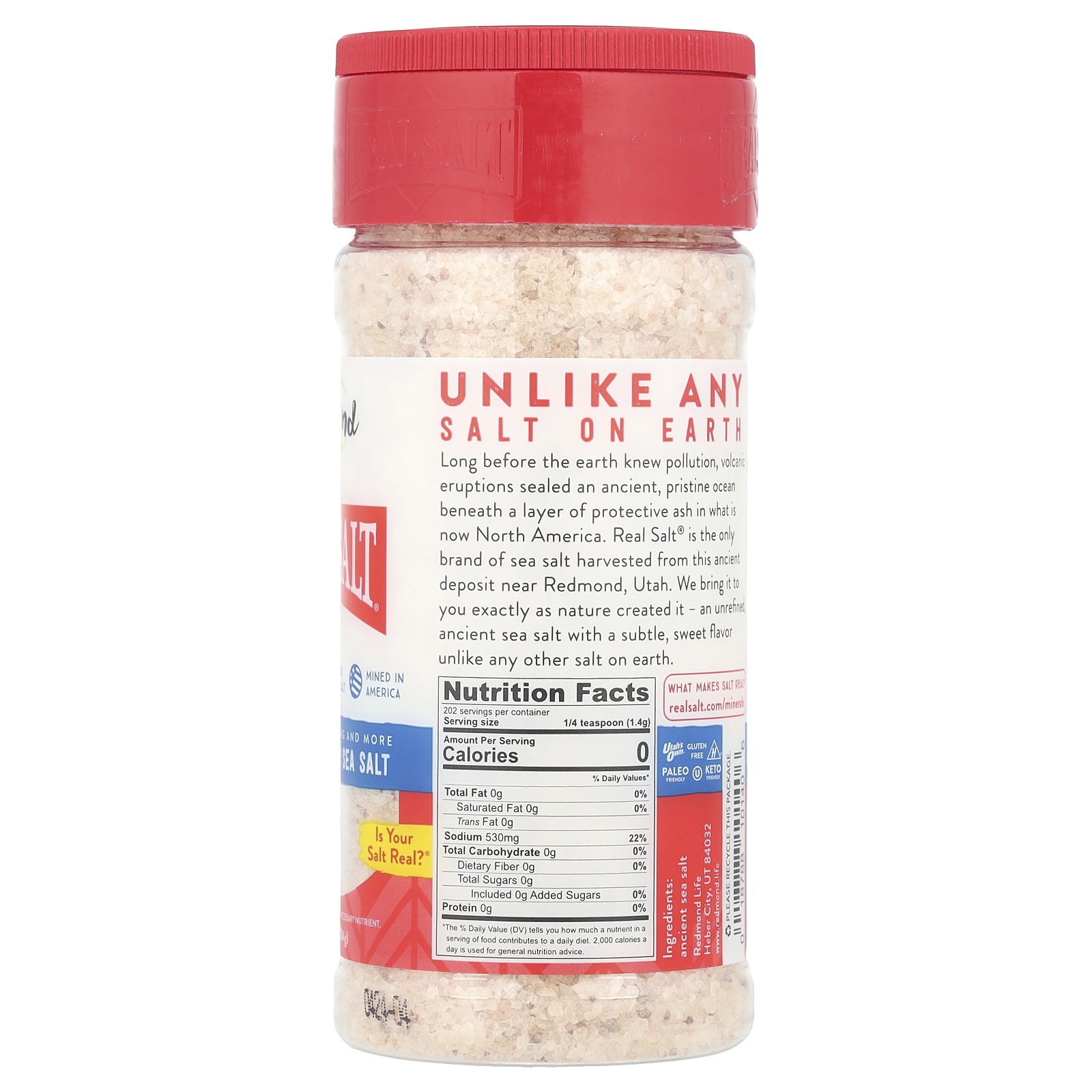 Real Salt, Ancient Kosher Sea Salt, 10 oz (284 g)