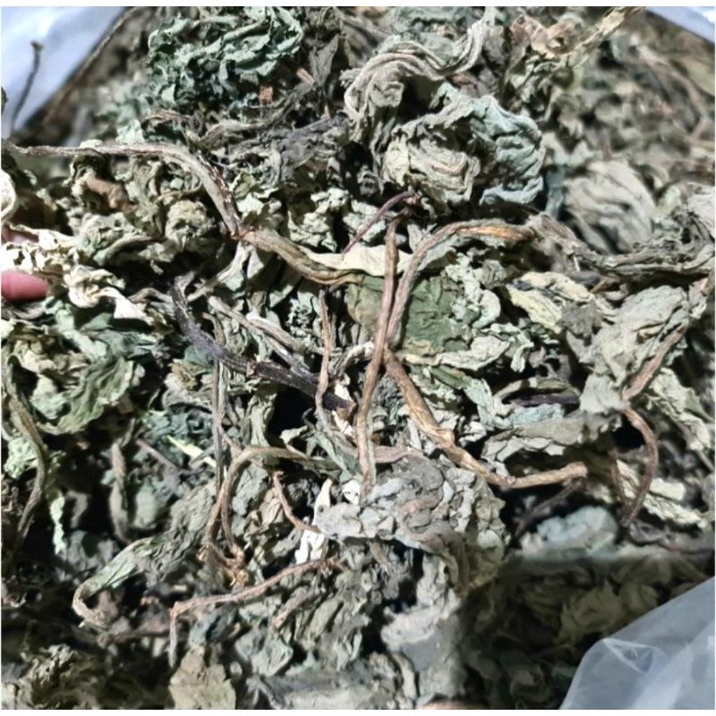 Dried Insulin Leaf 500g Botanical Ingredient For Brewing