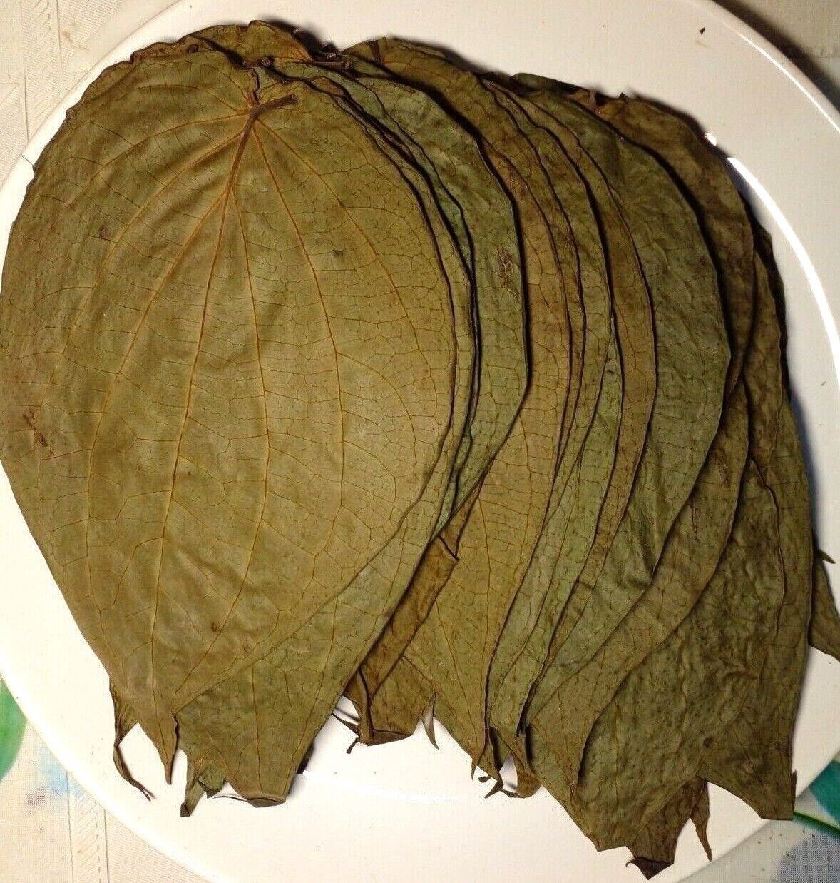 100% Organic Sri Lankan Piper Dried Herbal Betel Leaf Natural Leaves