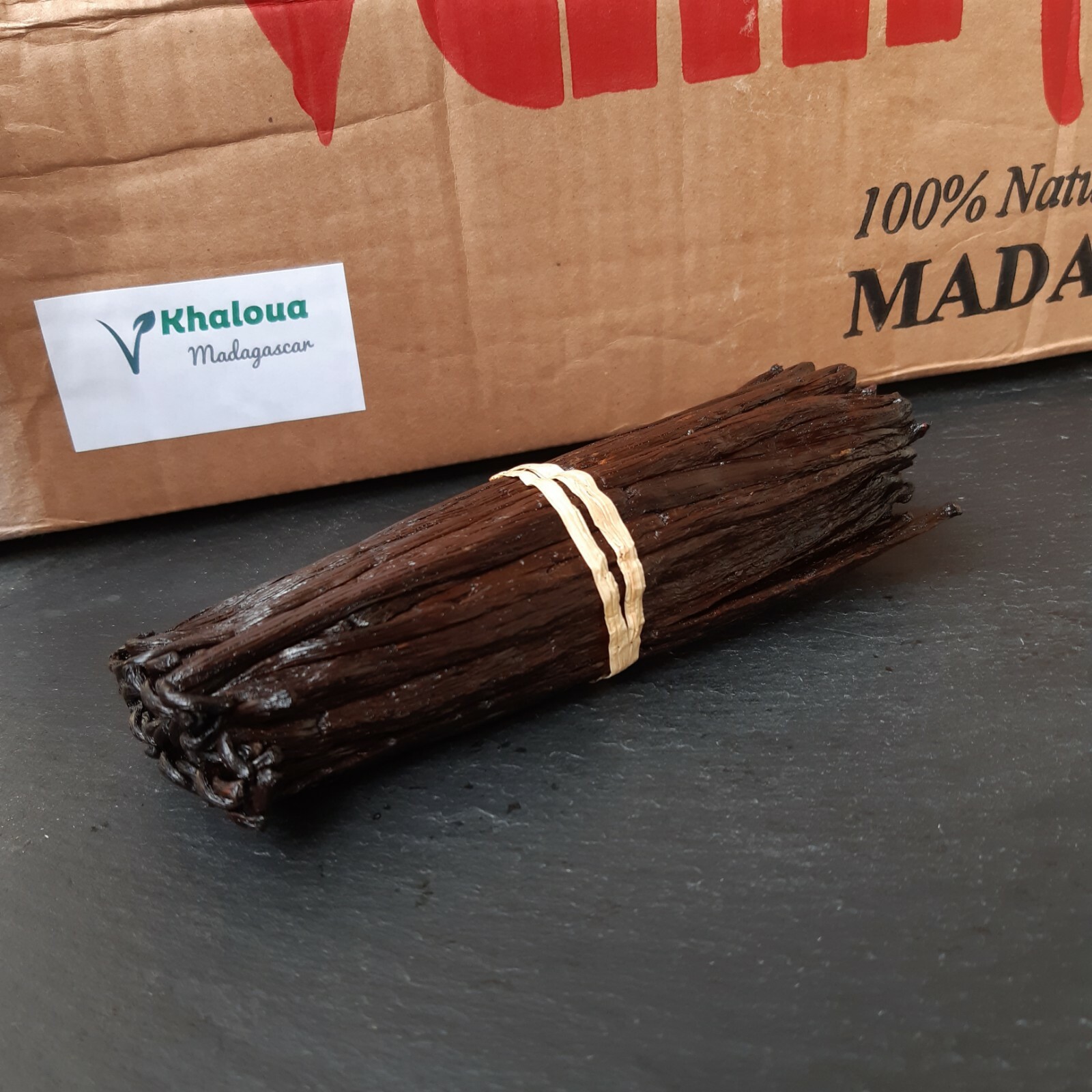 6 Vanilla Bourbon Madagascar 14-16 cm Class A